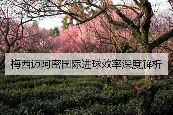 梅西迈阿密国际进球效率深度解析
